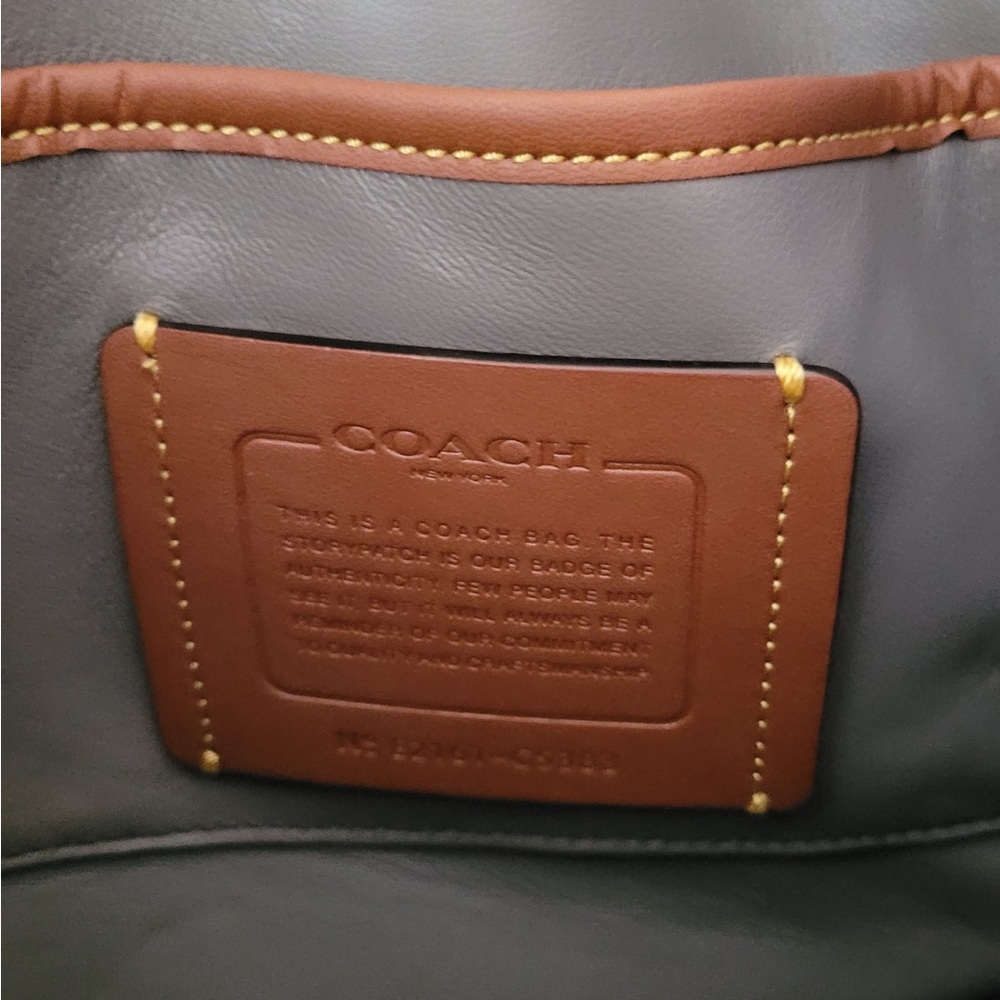 Coach Hitch Crossbody With Horse And Carriage Print Gem